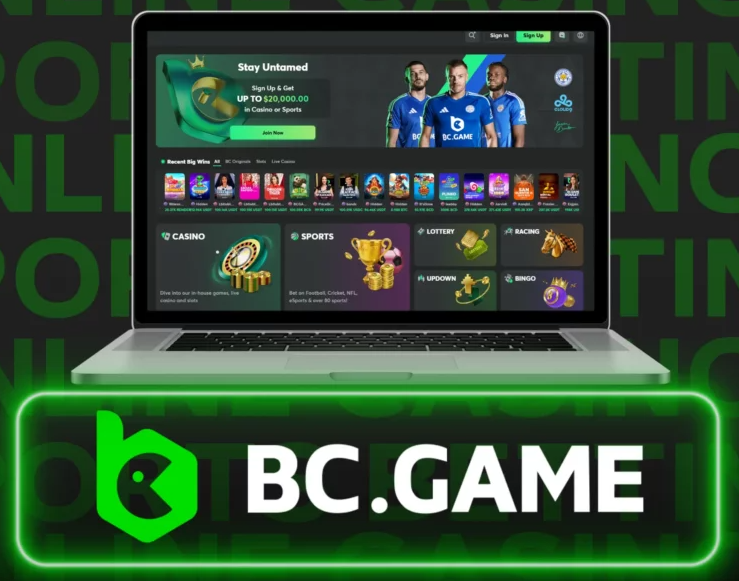 Unleashing the Potential of the Bc.Game App A Comprehensive Guide